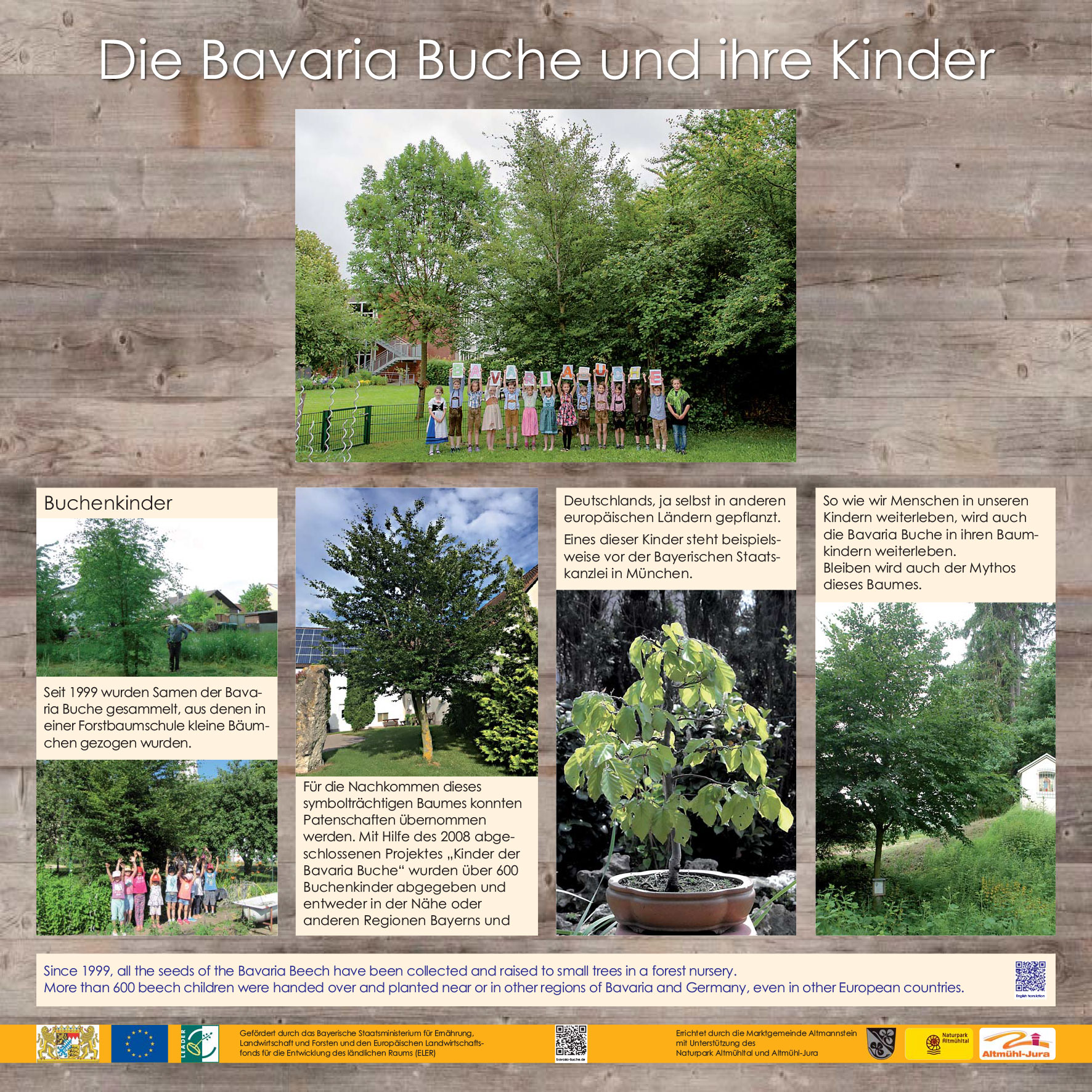 Die Bavaria Buche - Kinder